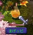 7fc943f1.JPG