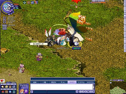 82eac7f7.JPG