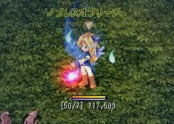 fe198db8.JPG