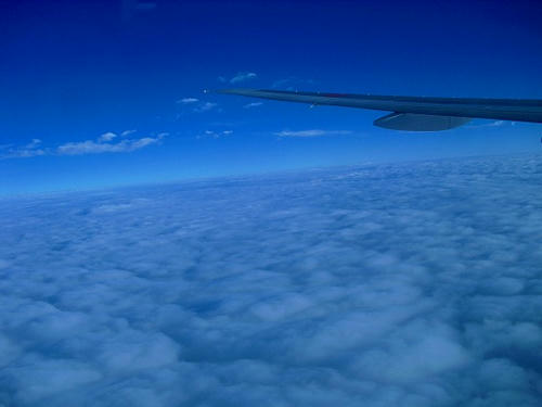 CIMG7173.jpg