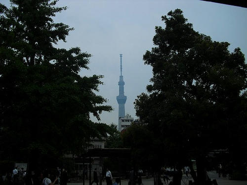 CIMG7142.jpg