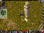 749b5fb6.gif