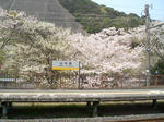 山中渓
