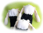 100525_jersey_camicia.gif