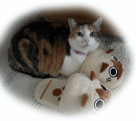 101211_mimi.gif