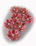 110429_chirimen.gif