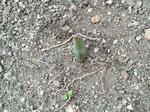 2009021211380000.jpg