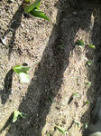 2009031209120000.jpg