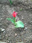 2009032009100000.jpg