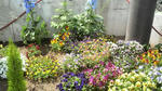 2010050810260000.jpg