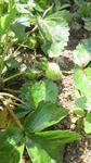 2010050810250001.jpg