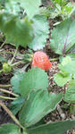 2010051310100000.jpg