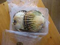 20070718.JPG