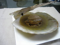 20070721.JPG