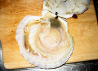 20070807.JPG