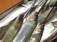 20070907_3.JPG