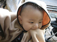 20071114_5.JPG