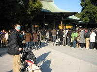 IMG_2987.jpg