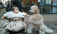 20080310170209.jpg