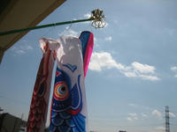 IMG_3760.JPG