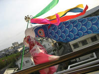 IMG_3762.JPG