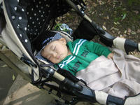 IMG_3785.JPG