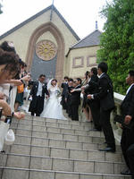 IMG_4126.jpg