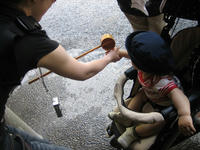 IMG_4206.jpg