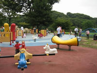 IMG_4728.JPG