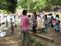 IMG_5322.JPG