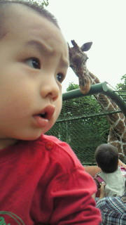 200910121321001.jpg