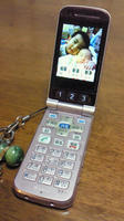 201002081805000.jpg
