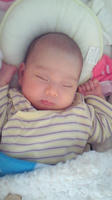 201002221011000.jpg