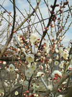 201002221133002.jpg
