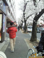 201004031440000.jpg
