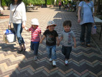 IMG_6737.JPG