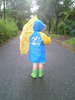 201006141648000.jpg