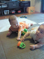 201007061346000.jpg