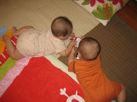 IMG_7011.JPG