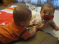 IMG_7016.JPG
