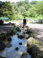 NEC_0018.JPG