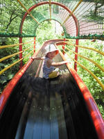 NEC_0027.JPG