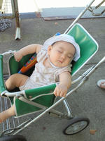 NEC_0050.JPG
