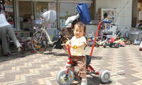 DSC_1062.JPG
