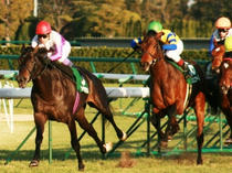 ラジNI上位２頭