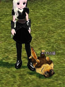 mabinogi_2009_05_04_002.jpg