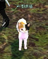 mabinogi_2009_05_04_005.jpg