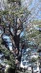 2590ca55.jpg