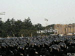 26a052af.gif