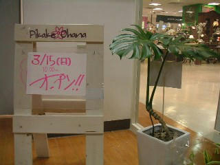 PICT0012.JPG